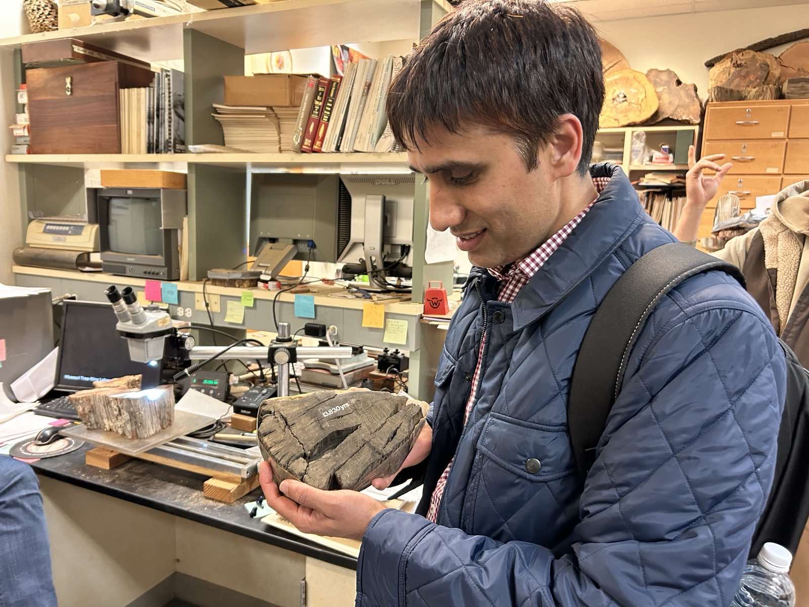 Holding a 14,000-year-old tree specimen at University of Missouri tree ring lab